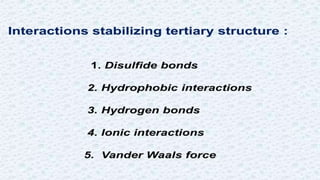 Protein structure & protein structure validation ppt