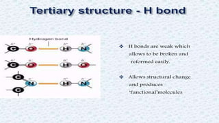 Protein structure & protein structure validation ppt