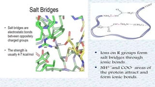 Protein structure & protein structure validation ppt