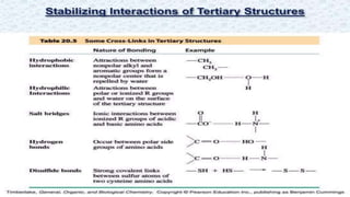 Protein structure & protein structure validation ppt