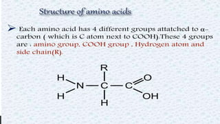 Protein structure & protein structure validation ppt