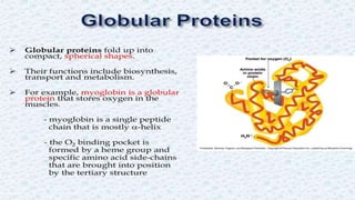 Protein structure & protein structure validation ppt