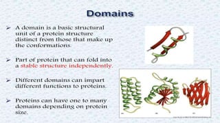 Protein structure & protein structure validation ppt