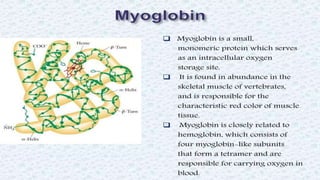 Protein structure & protein structure validation ppt