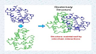 Protein structure & protein structure validation ppt