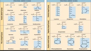 Protein structure & protein structure validation ppt