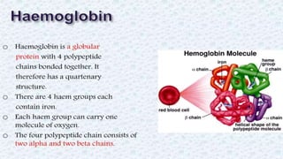 Protein structure & protein structure validation ppt