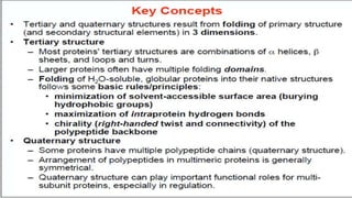 Protein structure & protein structure validation ppt