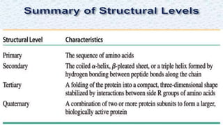 Protein structure & protein structure validation ppt