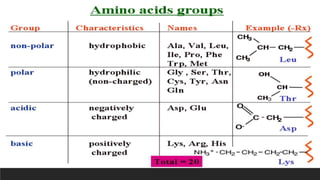 Protein structure & protein structure validation ppt