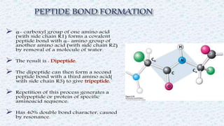 Protein structure & protein structure validation ppt