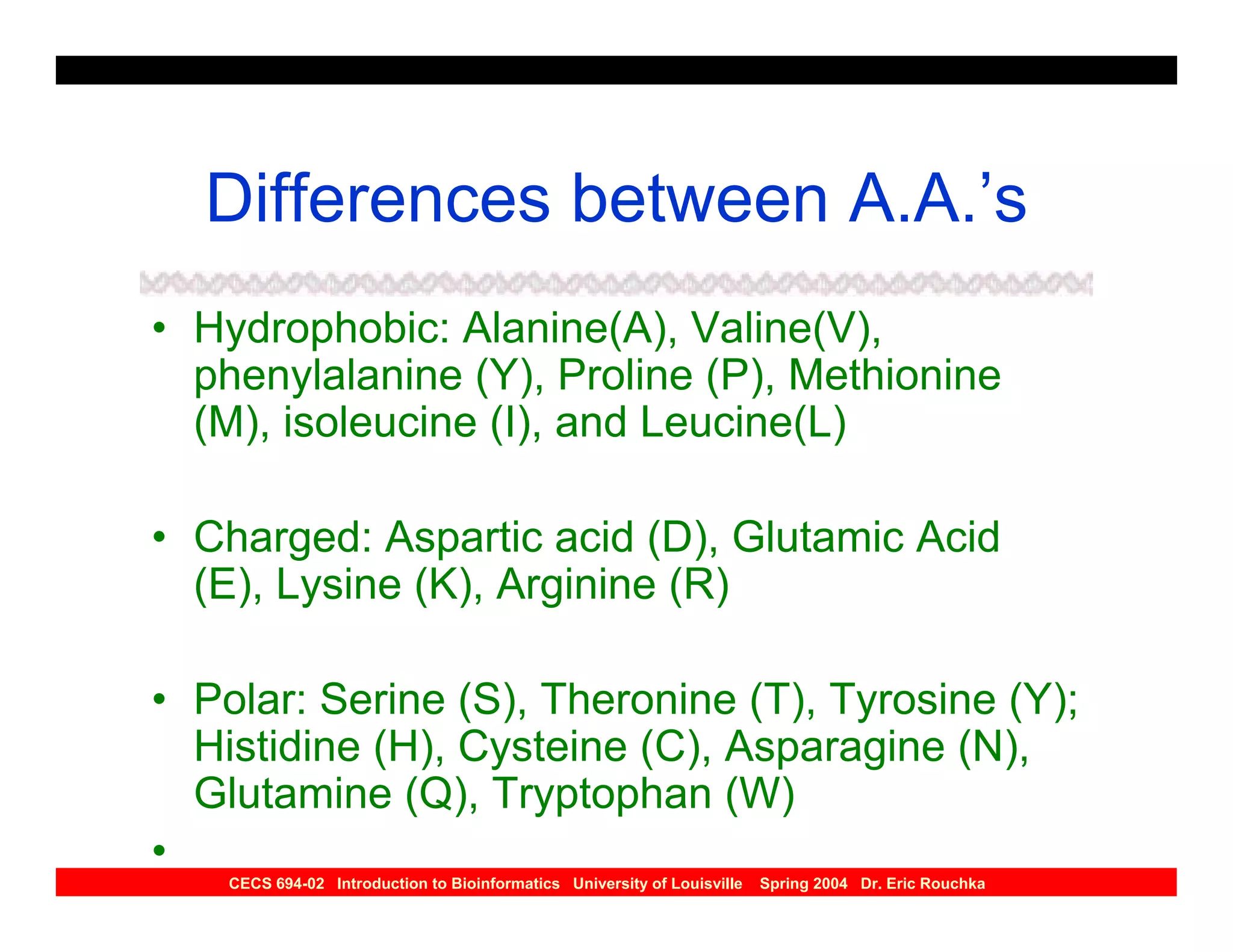 Differences between A.A.’s
• Hydrophobic: Alanine(A), Valine(V),
  phenylalanine (Y), Proline (P), Methionine
  (M), isoleucine (I), and Leucine(L)

• Charged: Aspartic acid (D), Glutamic Acid
  (E), Lysine (K), Arginine (R)

• Polar: Serine (S), Theronine (T), Tyrosine (Y);
  Histidine (H), Cysteine (C), Asparagine (N),
  Glutamine (Q), Tryptophan (W)
•
    CECS 694-02 Introduction to Bioinformatics University of Louisville   Spring 2004 Dr. Eric Rouchka
 