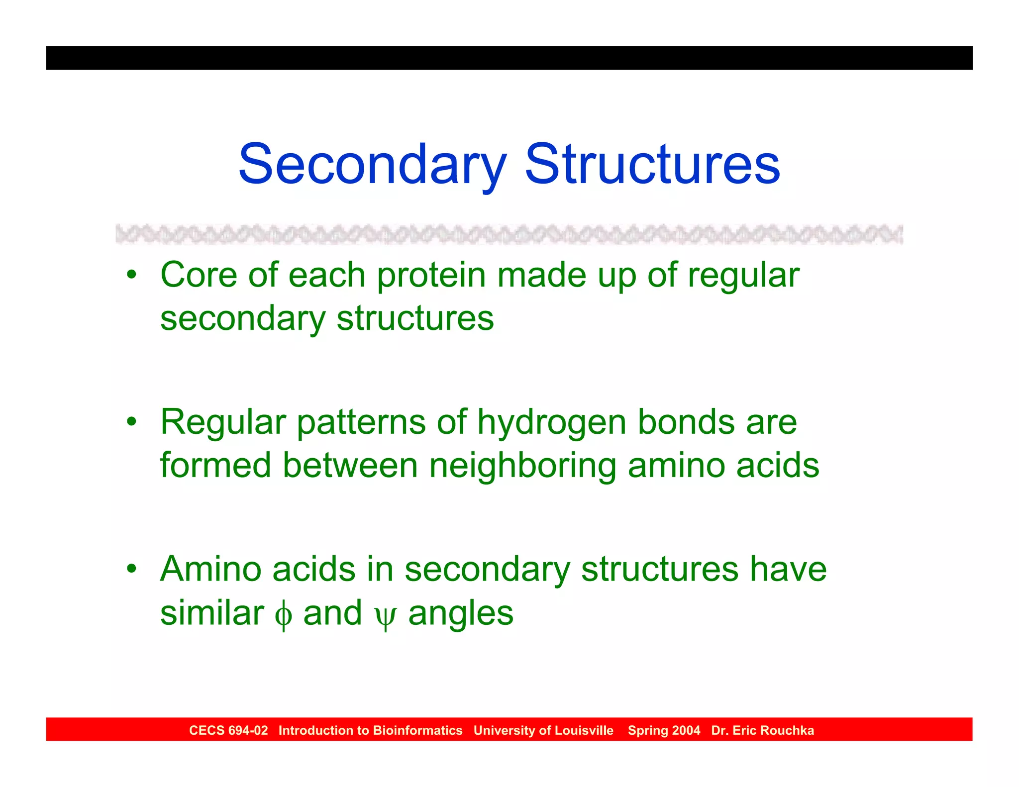 Secondary Structures
• Core of each protein made up of regular
  secondary structures

• Regular patterns of hydrogen bonds are
  formed between neighboring amino acids

• Amino acids in secondary structures have
  similar φ and ψ angles


   CECS 694-02 Introduction to Bioinformatics University of Louisville   Spring 2004 Dr. Eric Rouchka
 