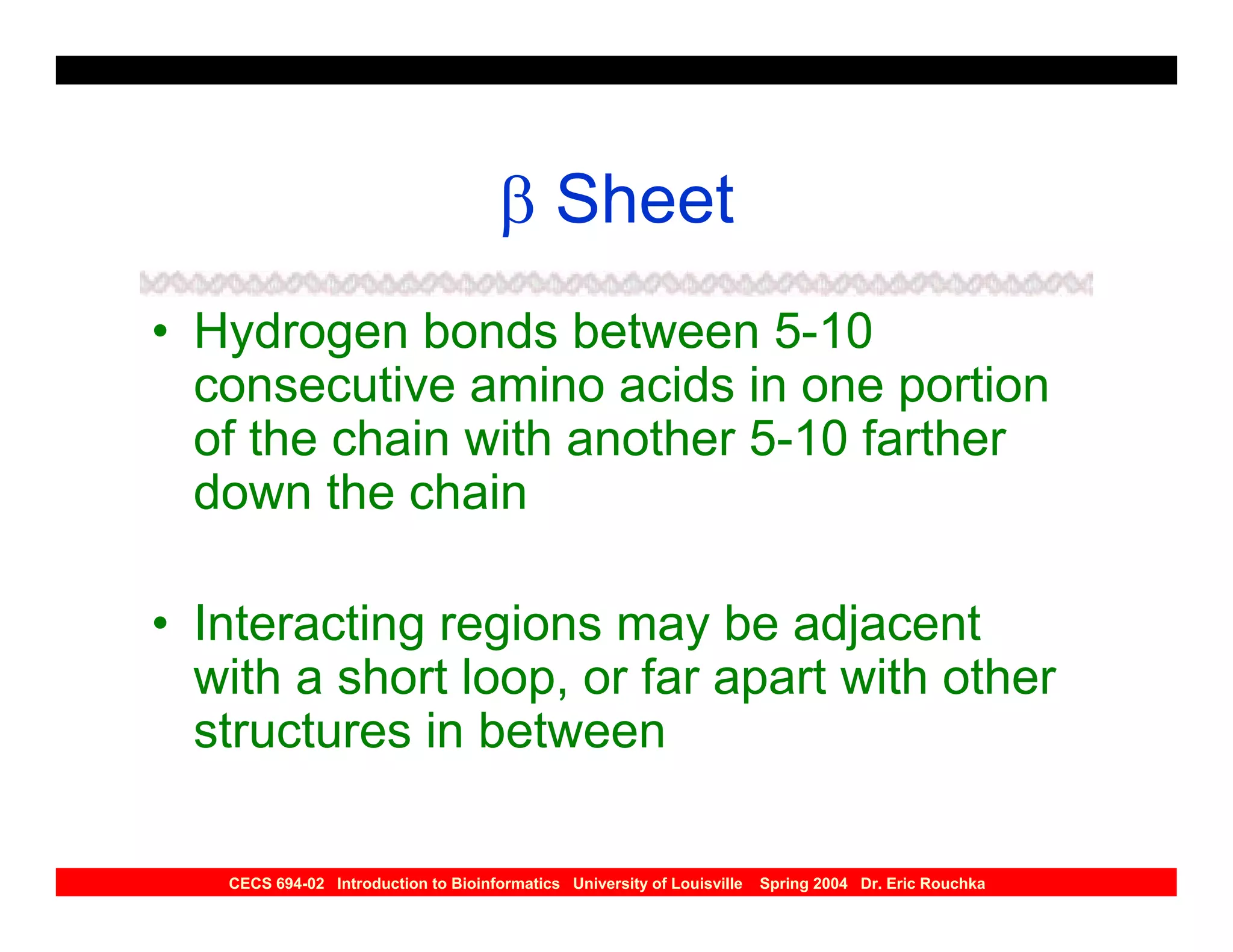 β Sheet
• Hydrogen bonds between 5-10
  consecutive amino acids in one portion
  of the chain with another 5-10 farther
  down the chain

• Interacting regions may be adjacent
  with a short loop, or far apart with other
  structures in between

   CECS 694-02 Introduction to Bioinformatics University of Louisville   Spring 2004 Dr. Eric Rouchka
 