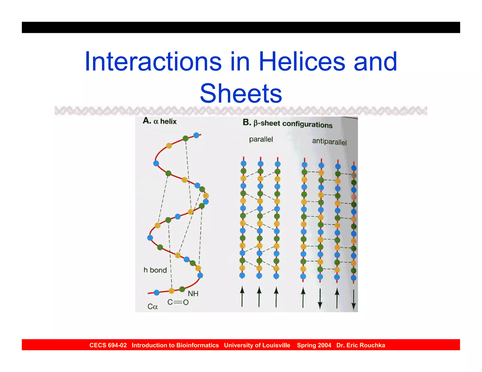 Interactions in Helices and
          Sheets




CECS 694-02 Introduction to Bioinformatics University of Louisville   Spring 2004 Dr. Eric Rouchka
 