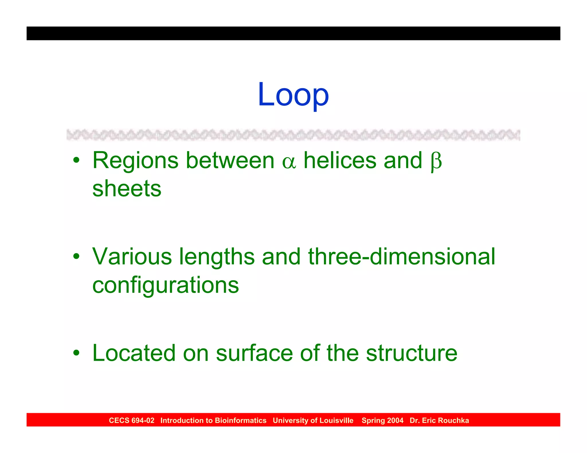 Loop
• Regions between α helices and β
  sheets

• Various lengths and three-dimensional
  configurations

• Located on surface of the structure

   CECS 694-02 Introduction to Bioinformatics University of Louisville   Spring 2004 Dr. Eric Rouchka
 