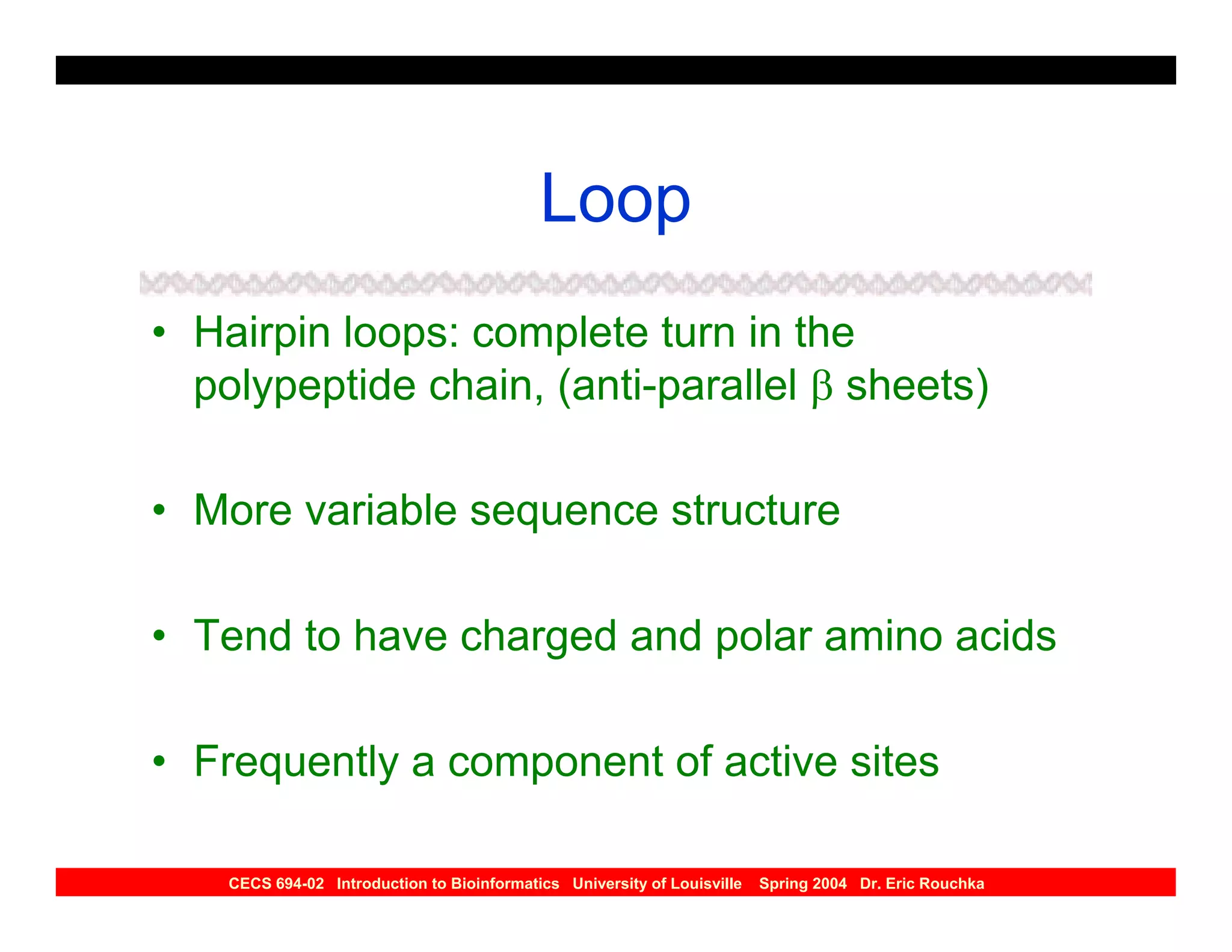 Loop
• Hairpin loops: complete turn in the
  polypeptide chain, (anti-parallel β sheets)

• More variable sequence structure

• Tend to have charged and polar amino acids

• Frequently a component of active sites

    CECS 694-02 Introduction to Bioinformatics University of Louisville   Spring 2004 Dr. Eric Rouchka
 