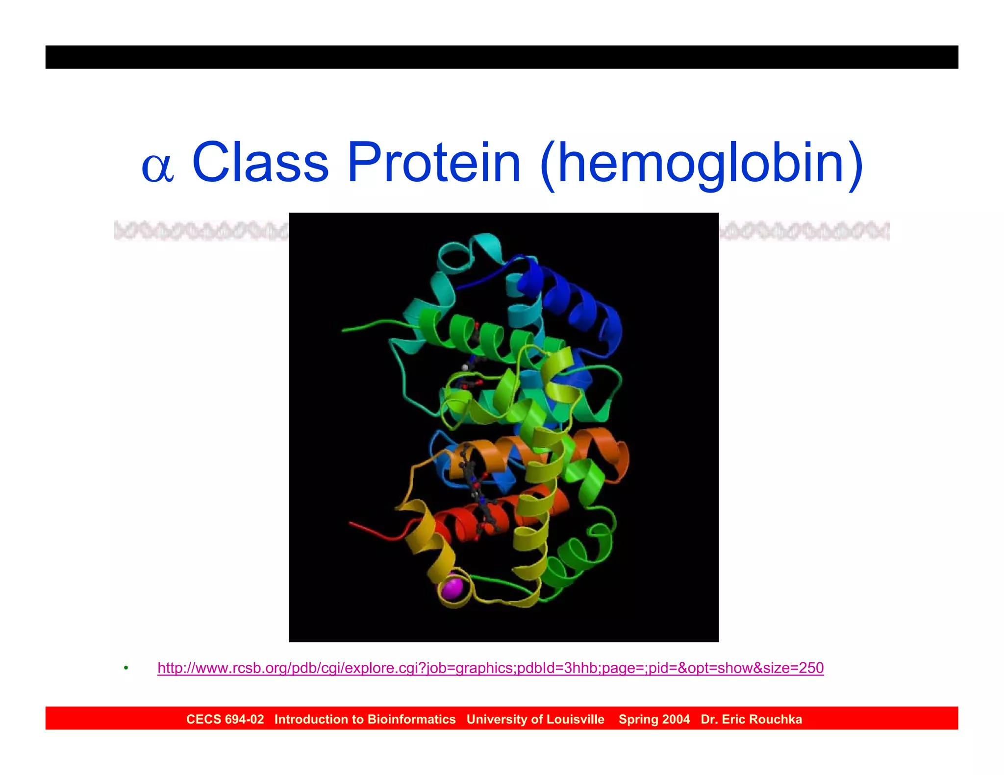 α Class Protein (hemoglobin)




•   http://www.rcsb.org/pdb/cgi/explore.cgi?job=graphics;pdbId=3hhb;page=;pid=&opt=show&size=250


       CECS 694-02 Introduction to Bioinformatics University of Louisville   Spring 2004 Dr. Eric Rouchka
 