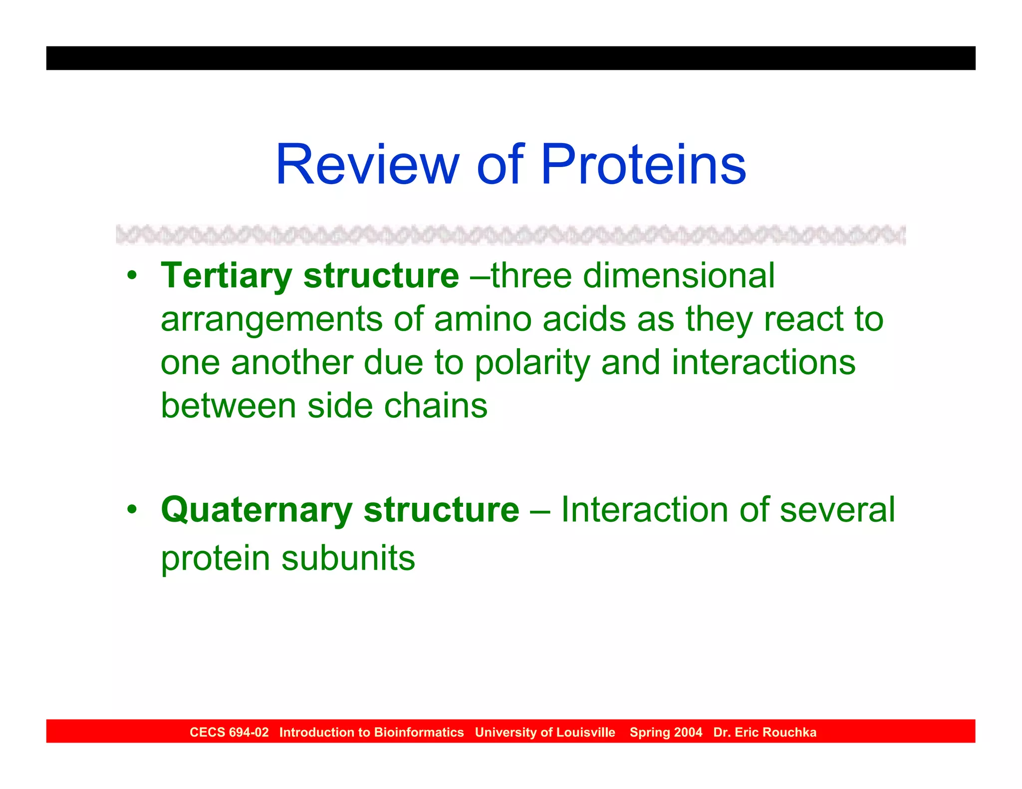 Review of Proteins
• Tertiary structure –three dimensional
  arrangements of amino acids as they react to
  one another due to polarity and interactions
  between side chains

• Quaternary structure – Interaction of several
  protein subunits



   CECS 694-02 Introduction to Bioinformatics University of Louisville   Spring 2004 Dr. Eric Rouchka
 