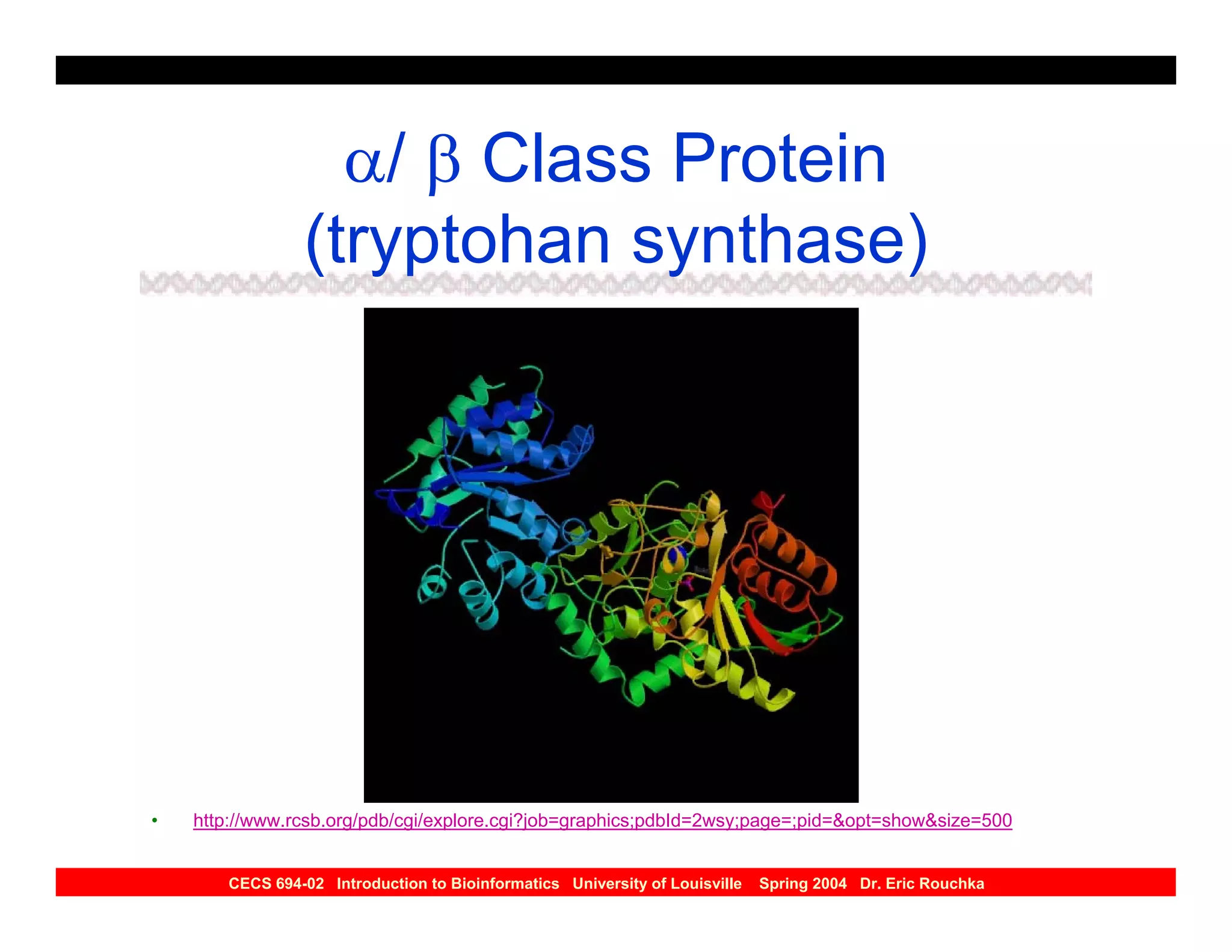 α/ β Class Protein
                (tryptohan synthase)




•   http://www.rcsb.org/pdb/cgi/explore.cgi?job=graphics;pdbId=2wsy;page=;pid=&opt=show&size=500


       CECS 694-02 Introduction to Bioinformatics University of Louisville   Spring 2004 Dr. Eric Rouchka
 