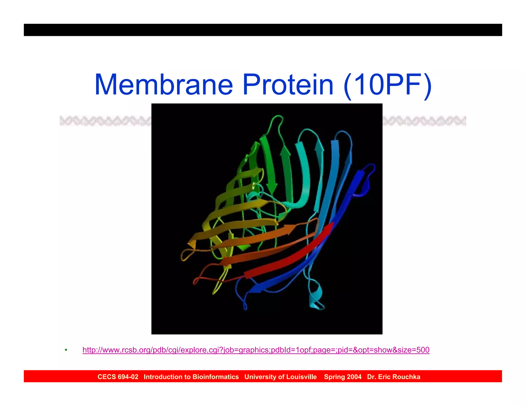 Membrane Protein (10PF)




•   http://www.rcsb.org/pdb/cgi/explore.cgi?job=graphics;pdbId=1opf;page=;pid=&opt=show&size=500


       CECS 694-02 Introduction to Bioinformatics University of Louisville   Spring 2004 Dr. Eric Rouchka
 