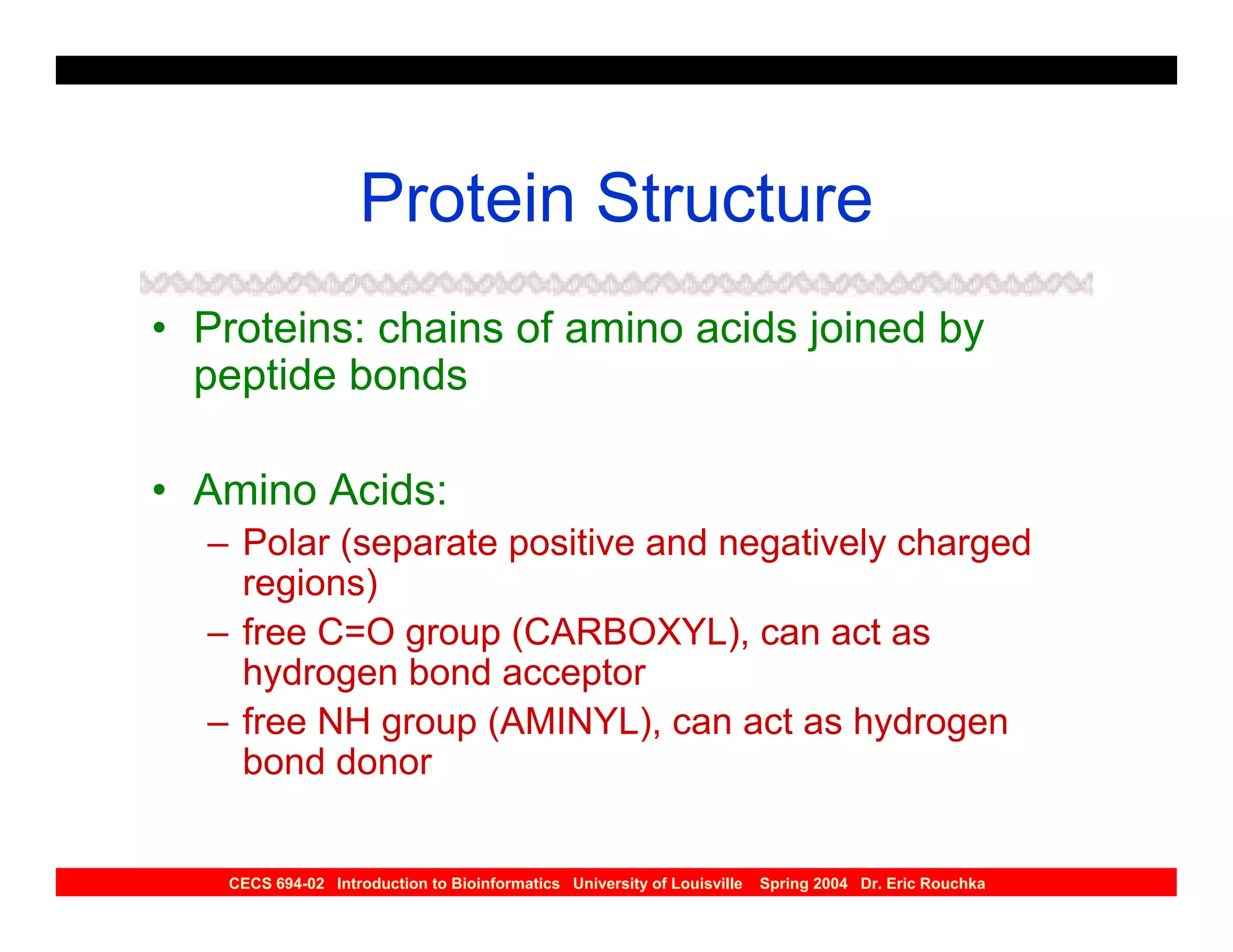Protein Structure
• Proteins: chains of amino acids joined by
  peptide bonds

• Amino Acids:
  – Polar (separate positive and negatively charged
    regions)
  – free C=O group (CARBOXYL), can act as
    hydrogen bond acceptor
  – free NH group (AMINYL), can act as hydrogen
    bond donor


   CECS 694-02 Introduction to Bioinformatics University of Louisville   Spring 2004 Dr. Eric Rouchka
 