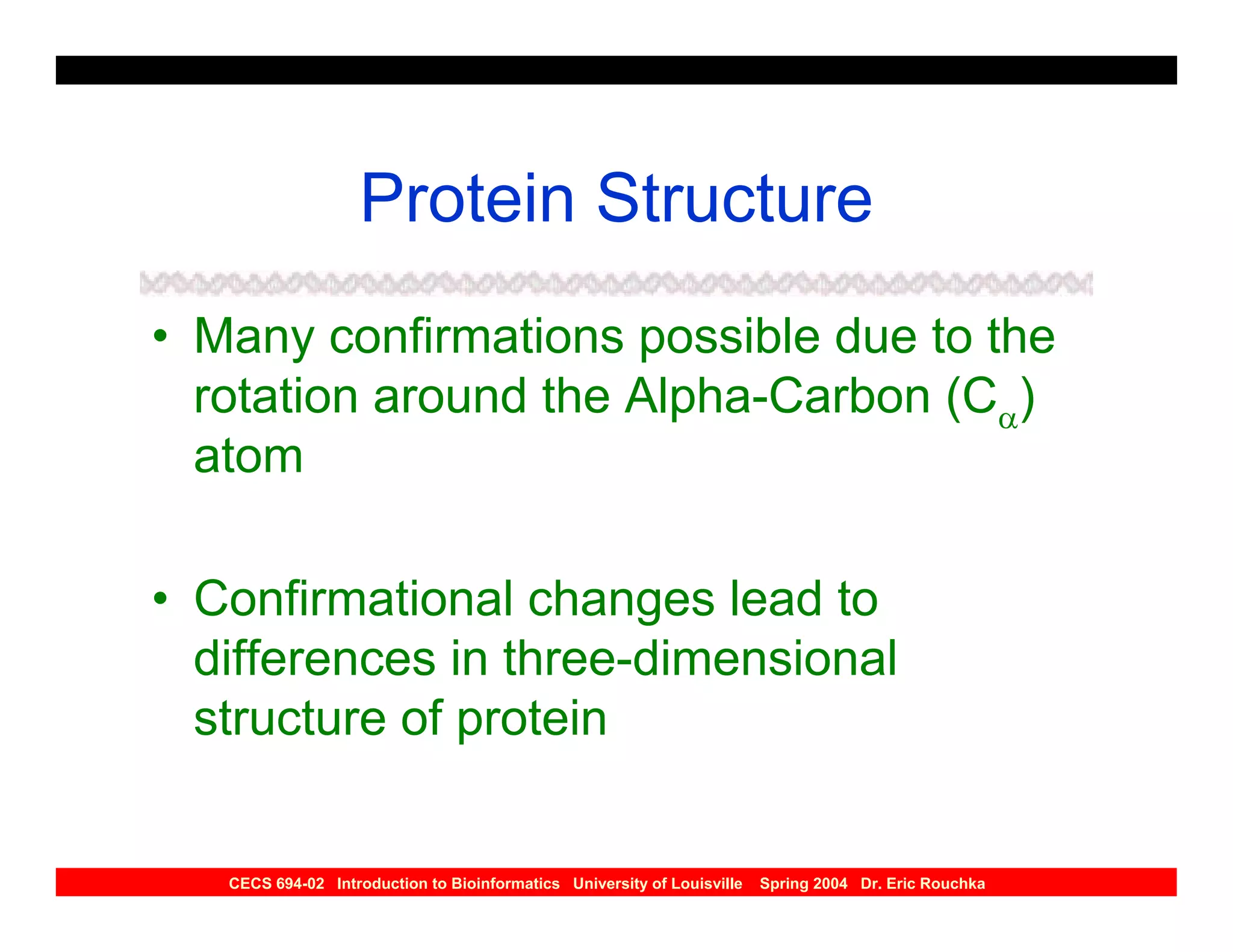 Protein Structure
• Many confirmations possible due to the
  rotation around the Alpha-Carbon (Cα)
  atom

• Confirmational changes lead to
  differences in three-dimensional
  structure of protein


   CECS 694-02 Introduction to Bioinformatics University of Louisville   Spring 2004 Dr. Eric Rouchka
 