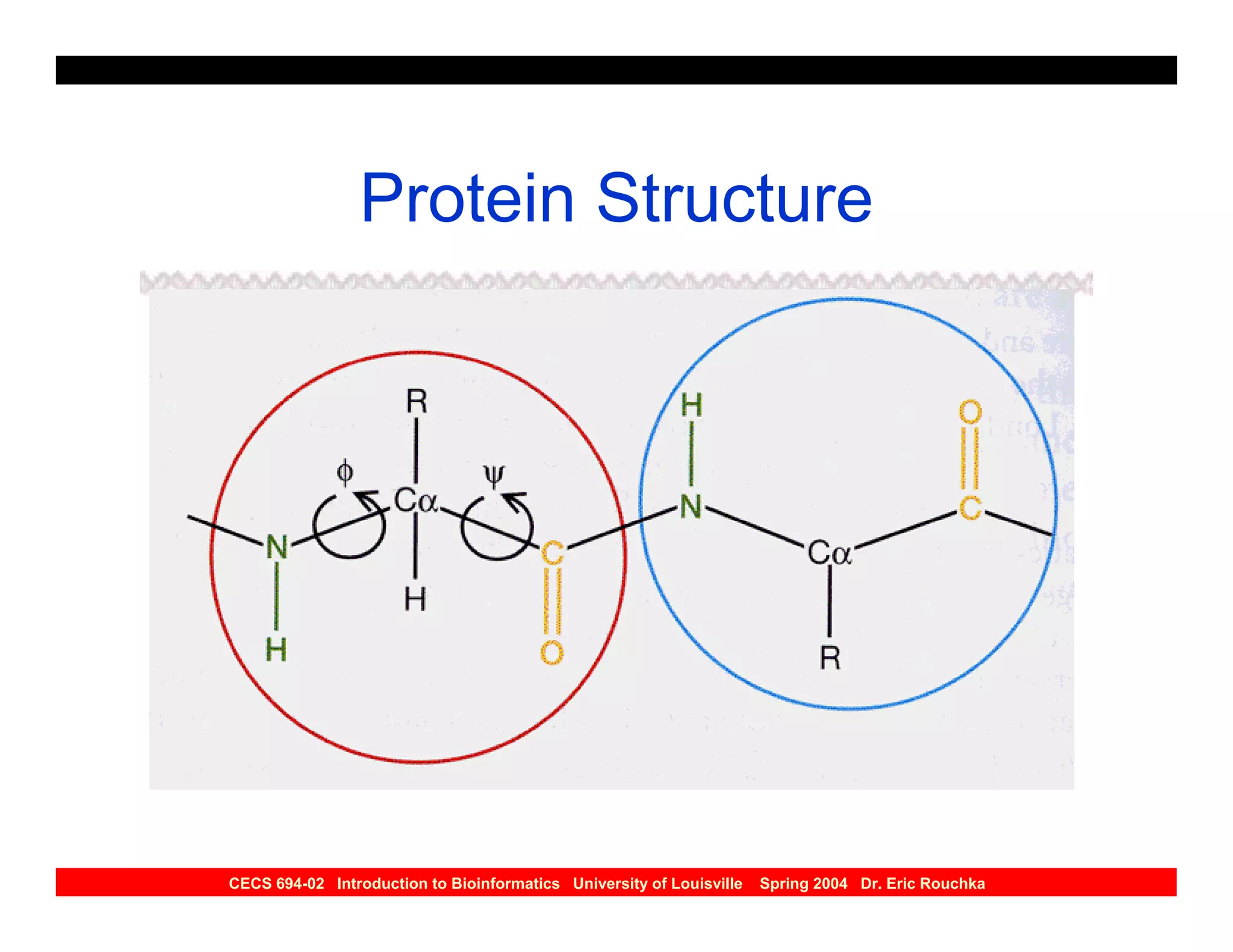 Protein Structure




CECS 694-02 Introduction to Bioinformatics University of Louisville   Spring 2004 Dr. Eric Rouchka
 