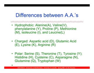 Differences between A.A.’s
• Hydrophobic: Alanine(A), Valine(V),
  phenylalanine (Y), Proline (P), Methionine
  (M), isoleucine (I), and Leucine(L)

• Charged: Aspartic acid (D), Glutamic Acid
  (E), Lysine (K), Arginine (R)

• Polar: Serine (S), Theronine (T), Tyrosine (Y);
  Histidine (H), Cysteine (C), Asparagine (N),
  Glutamine (Q), Tryptophan (W)
•
    CECS 694-02 Introduction to Bioinformatics University of Louisville   Spring 2004 Dr. Eric Rouchka
 