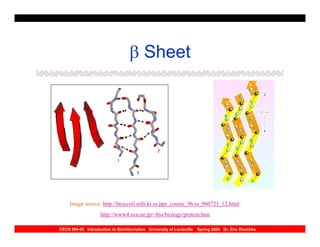 β Sheet




     Image source: http://broccoli.mfn.ki.se/pps_course_96/ss_960723_12.html;
                    http://www4.ocn.ne.jp/~bio/biology/protein.htm

CECS 694-02 Introduction to Bioinformatics University of Louisville   Spring 2004 Dr. Eric Rouchka
 
