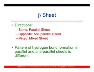 β Sheet
• Directions:
  – Same: Parallel Sheet
  – Opposite: Anti-parallel Sheet
  – Mixed: Mixed Sheet

• Pattern of hydrogen bond formation in
  parallel and anti-parallel sheets is
  different

   CECS 694-02 Introduction to Bioinformatics University of Louisville   Spring 2004 Dr. Eric Rouchka
 
