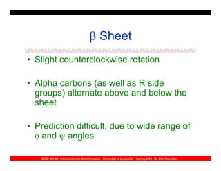 β Sheet
• Slight counterclockwise rotation

• Alpha carbons (as well as R side
  groups) alternate above and below the
  sheet

• Prediction difficult, due to wide range of
  φ and ψ angles

   CECS 694-02 Introduction to Bioinformatics University of Louisville   Spring 2004 Dr. Eric Rouchka
 