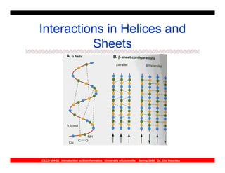 Interactions in Helices and
          Sheets




CECS 694-02 Introduction to Bioinformatics University of Louisville   Spring 2004 Dr. Eric Rouchka
 