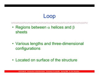 Loop
• Regions between α helices and β
  sheets

• Various lengths and three-dimensional
  configurations

• Located on surface of the structure

   CECS 694-02 Introduction to Bioinformatics University of Louisville   Spring 2004 Dr. Eric Rouchka
 