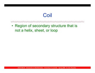 Coil
• Region of secondary structure that is
  not a helix, sheet, or loop




   CECS 694-02 Introduction to Bioinformatics University of Louisville   Spring 2004 Dr. Eric Rouchka
 