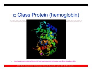α Class Protein (hemoglobin)




•   http://www.rcsb.org/pdb/cgi/explore.cgi?job=graphics;pdbId=3hhb;page=;pid=&opt=show&size=250


       CECS 694-02 Introduction to Bioinformatics University of Louisville   Spring 2004 Dr. Eric Rouchka
 