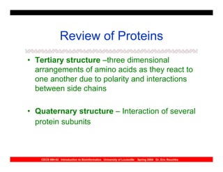 Review of Proteins
• Tertiary structure –three dimensional
  arrangements of amino acids as they react to
  one another due to polarity and interactions
  between side chains

• Quaternary structure – Interaction of several
  protein subunits



   CECS 694-02 Introduction to Bioinformatics University of Louisville   Spring 2004 Dr. Eric Rouchka
 