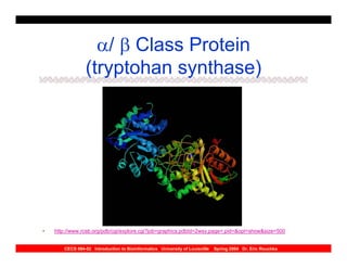 α/ β Class Protein
                (tryptohan synthase)




•   http://www.rcsb.org/pdb/cgi/explore.cgi?job=graphics;pdbId=2wsy;page=;pid=&opt=show&size=500


       CECS 694-02 Introduction to Bioinformatics University of Louisville   Spring 2004 Dr. Eric Rouchka
 