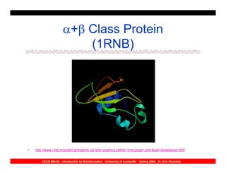 α+β Class Protein
                         (1RNB)




•   http://www.rcsb.org/pdb/cgi/explore.cgi?job=graphics;pdbId=1rnb;page=;pid=&opt=show&size=500


       CECS 694-02 Introduction to Bioinformatics University of Louisville   Spring 2004 Dr. Eric Rouchka
 