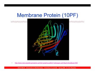 Membrane Protein (10PF)




•   http://www.rcsb.org/pdb/cgi/explore.cgi?job=graphics;pdbId=1opf;page=;pid=&opt=show&size=500


       CECS 694-02 Introduction to Bioinformatics University of Louisville   Spring 2004 Dr. Eric Rouchka
 
