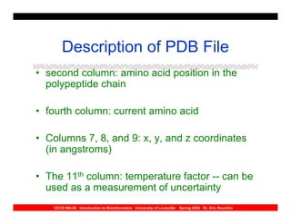 Description of PDB File
• second column: amino acid position in the
  polypeptide chain

• fourth column: current amino acid

• Columns 7, 8, and 9: x, y, and z coordinates
  (in angstroms)

• The 11th column: temperature factor -- can be
  used as a measurement of uncertainty
   CECS 694-02 Introduction to Bioinformatics University of Louisville   Spring 2004 Dr. Eric Rouchka
 