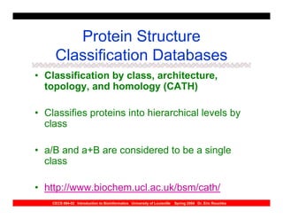 Protein Structure
     Classification Databases
• Classification by class, architecture,
  topology, and homology (CATH)

• Classifies proteins into hierarchical levels by
  class

• a/B and a+B are considered to be a single
  class

• http://www.biochem.ucl.ac.uk/bsm/cath/
    CECS 694-02 Introduction to Bioinformatics University of Louisville   Spring 2004 Dr. Eric Rouchka
 