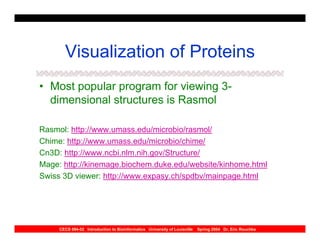 Visualization of Proteins
• Most popular program for viewing 3-
  dimensional structures is Rasmol

Rasmol: http://www.umass.edu/microbio/rasmol/
Chime: http://www.umass.edu/microbio/chime/
Cn3D: http://www.ncbi.nlm.nih.gov/Structure/
Mage: http://kinemage.biochem.duke.edu/website/kinhome.html
Swiss 3D viewer: http://www.expasy.ch/spdbv/mainpage.html




     CECS 694-02 Introduction to Bioinformatics University of Louisville   Spring 2004 Dr. Eric Rouchka
 