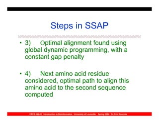Steps in SSAP
• 3) Optimal alignment found using
  global dynamic programming, with a
  constant gap penalty

• 4) Next amino acid residue
  considered, optimal path to align this
  amino acid to the second sequence
  computed

   CECS 694-02 Introduction to Bioinformatics University of Louisville   Spring 2004 Dr. Eric Rouchka
 