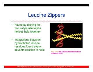 Leucine Zippers
• Found by looking for
  two antiparallel alpha
  helices held together

• Interactions between
  hydrophobic leucine
  residues found every
  seventh position in helix                                   Image source: ww2.mcgill.ca/biology/undergra/
                                                              c200a/sec3-5.htm




    CECS 694-02 Introduction to Bioinformatics University of Louisville   Spring 2004 Dr. Eric Rouchka
 