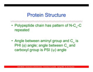 Protein Structure
• Polypeptide chain has pattern of N-Cα-C
  repeated

• Angle between aminyl group and Cα is
  PHI (φ) angle; angle between Cα and
  carboxyl group is PSI (ψ) angle



   CECS 694-02 Introduction to Bioinformatics University of Louisville   Spring 2004 Dr. Eric Rouchka
 