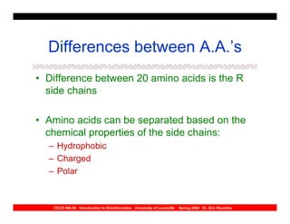 Differences between A.A.’s
• Difference between 20 amino acids is the R
  side chains

• Amino acids can be separated based on the
  chemical properties of the side chains:
  – Hydrophobic
  – Charged
  – Polar



   CECS 694-02 Introduction to Bioinformatics University of Louisville   Spring 2004 Dr. Eric Rouchka
 