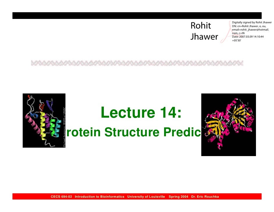 Protein Structure Prediction