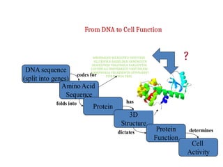 protein structure prediction in bioinformatics.ppt