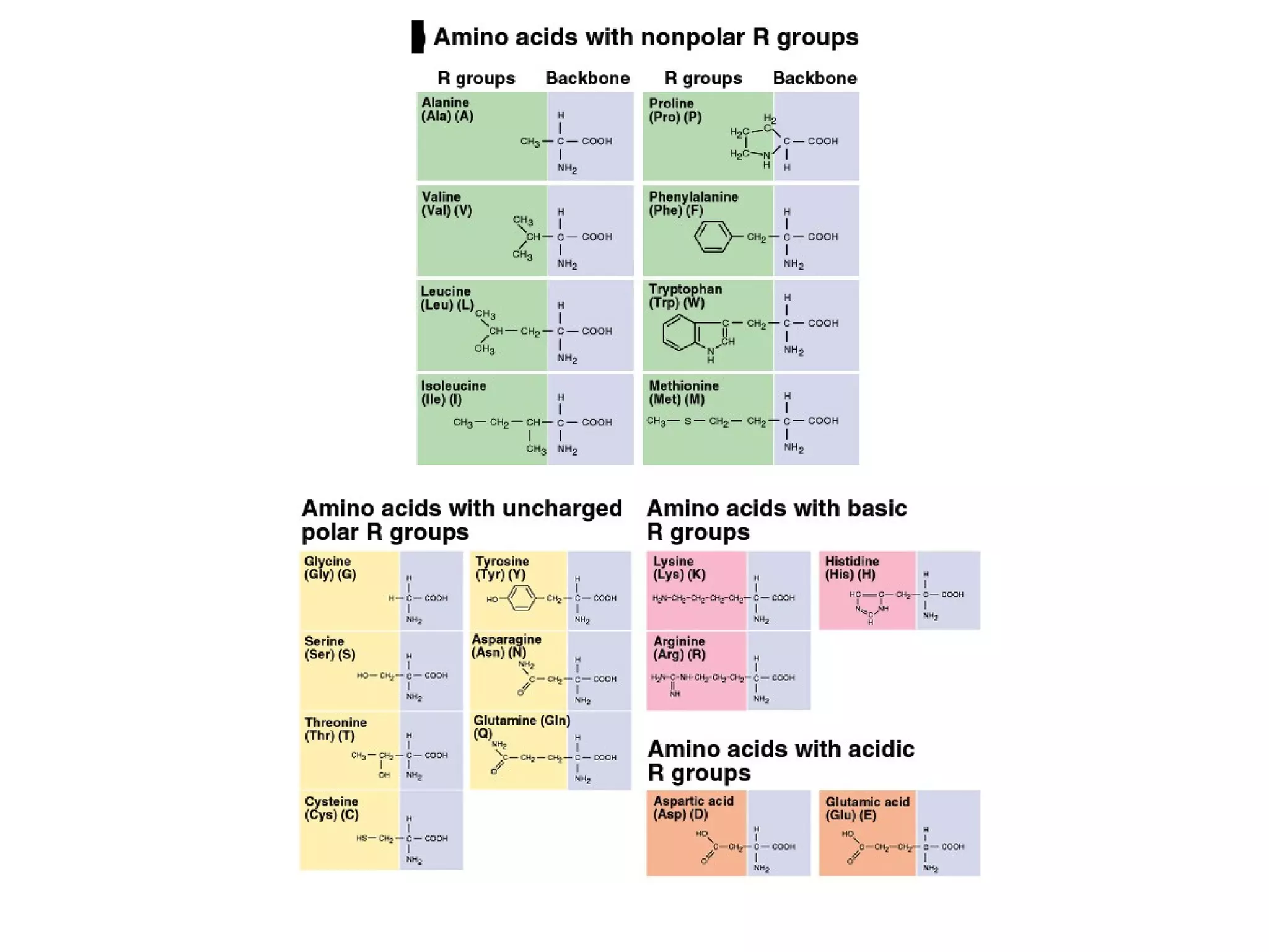 Protein structure levels | PPT